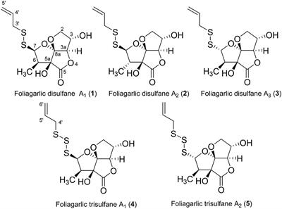 Structures of Cyclic <mark class="highlighted">Organosulfur Compounds</mark> From Garlic (Allium sativum L.) Leaves